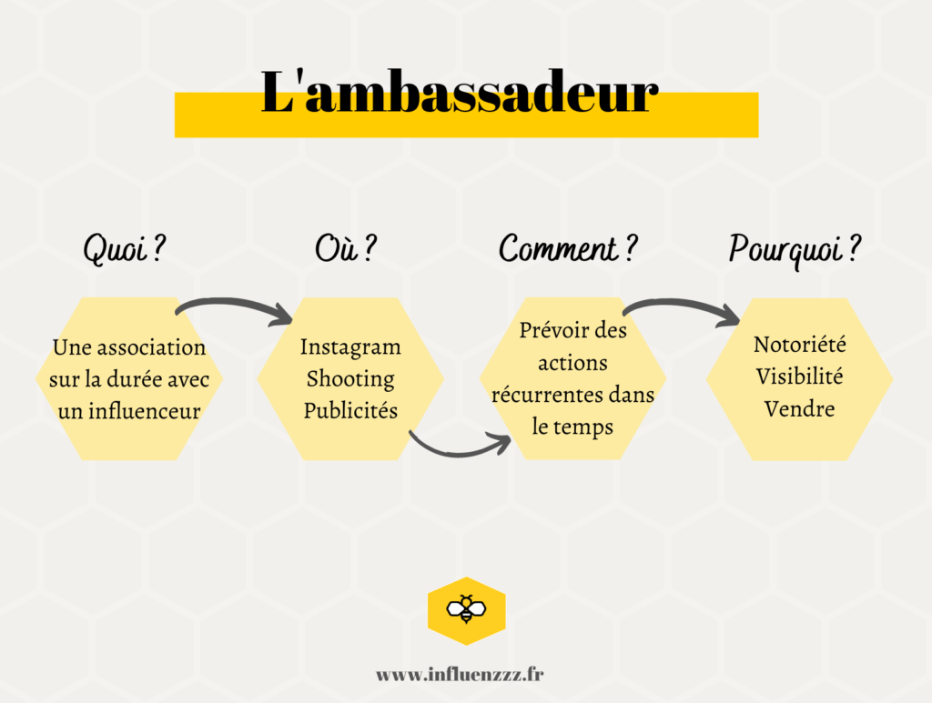 ambassadeur