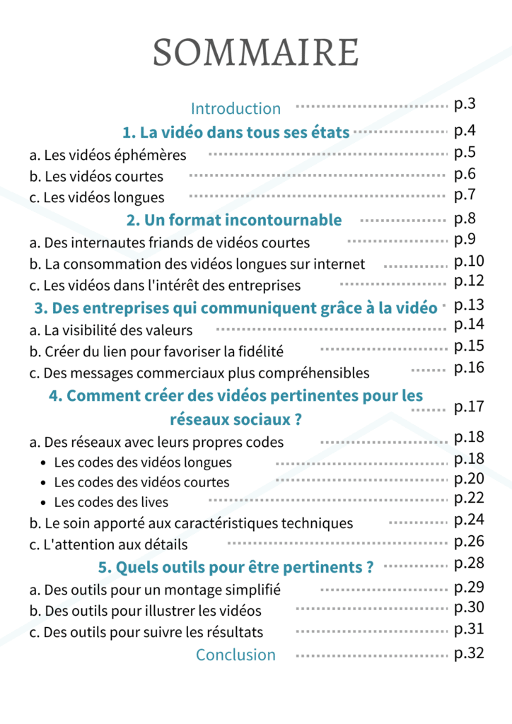 LIVRE BLANC VIDEO