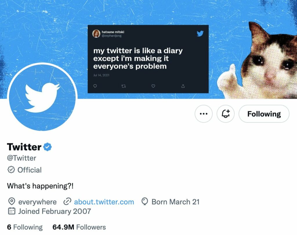 Twitter badge authentification